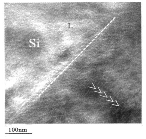 摻鈦DLC類金剛石膜的微觀結構研究